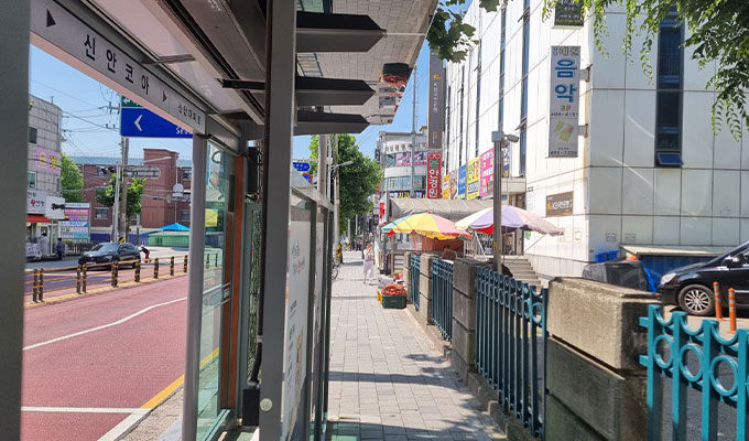 신안코아 사진