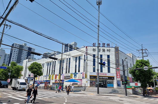 신안코아 사진